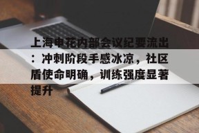 爱游戏正版-上海申花内部会议纪要流出：冲刺阶段手感冰凉，社区盾使命明确，训练强度显著提升的简单介绍