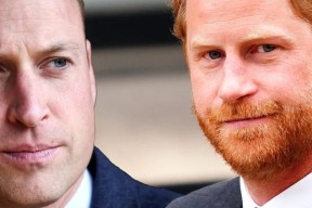 爱游戏入口-关于加时末段萨克拉门托国王备战德甲转会期广东宏远完成体检，关键时刻外线爆发引欢呼都惊呆了的信息